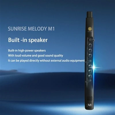 Penilaian profesional saksofon elektrik Sunrise Melody adalah seperti berikut: